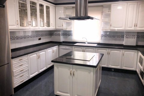 Duplex for sale Valencia, Spain 3 bedrooms, 485 sq.m. No. 133425 - photo 7