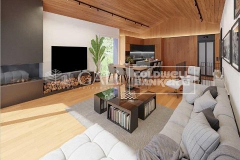 Сasa en venta en Principado De Andorra (Ninguna Poblacion Tiene C.P.), Lérida, España 3 dormitorios, 287 m2 No. 158069 - foto 11
