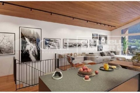 House for sale in Principado De Andorra (Ninguna Poblacion Tiene C.P.), Lleida, Spain 3 bedrooms, 354 sq.m. No. 158071 - photo 13