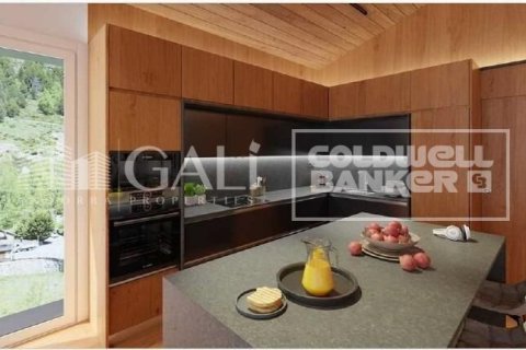 Сasa en venta en Principado De Andorra (Ninguna Poblacion Tiene C.P.), Lérida, España 3 dormitorios, 354 m2 No. 158071 - foto 13