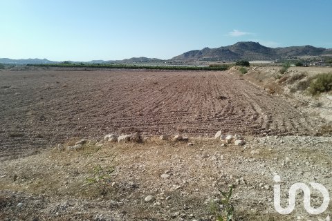Земельный участок в Новельда, Аликанте, Испания 120000м2 №153056