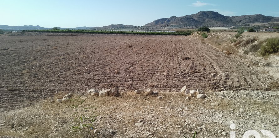 Terreno a Novelda, Alicante, Spagna 120000 mq. N° 153056