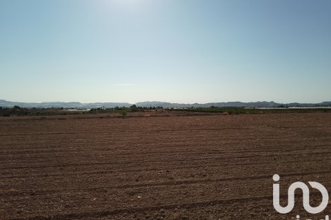 Terreno in vendita a Novelda, Alicante, Spagna 120000 mq. N° 153056 - foto 9