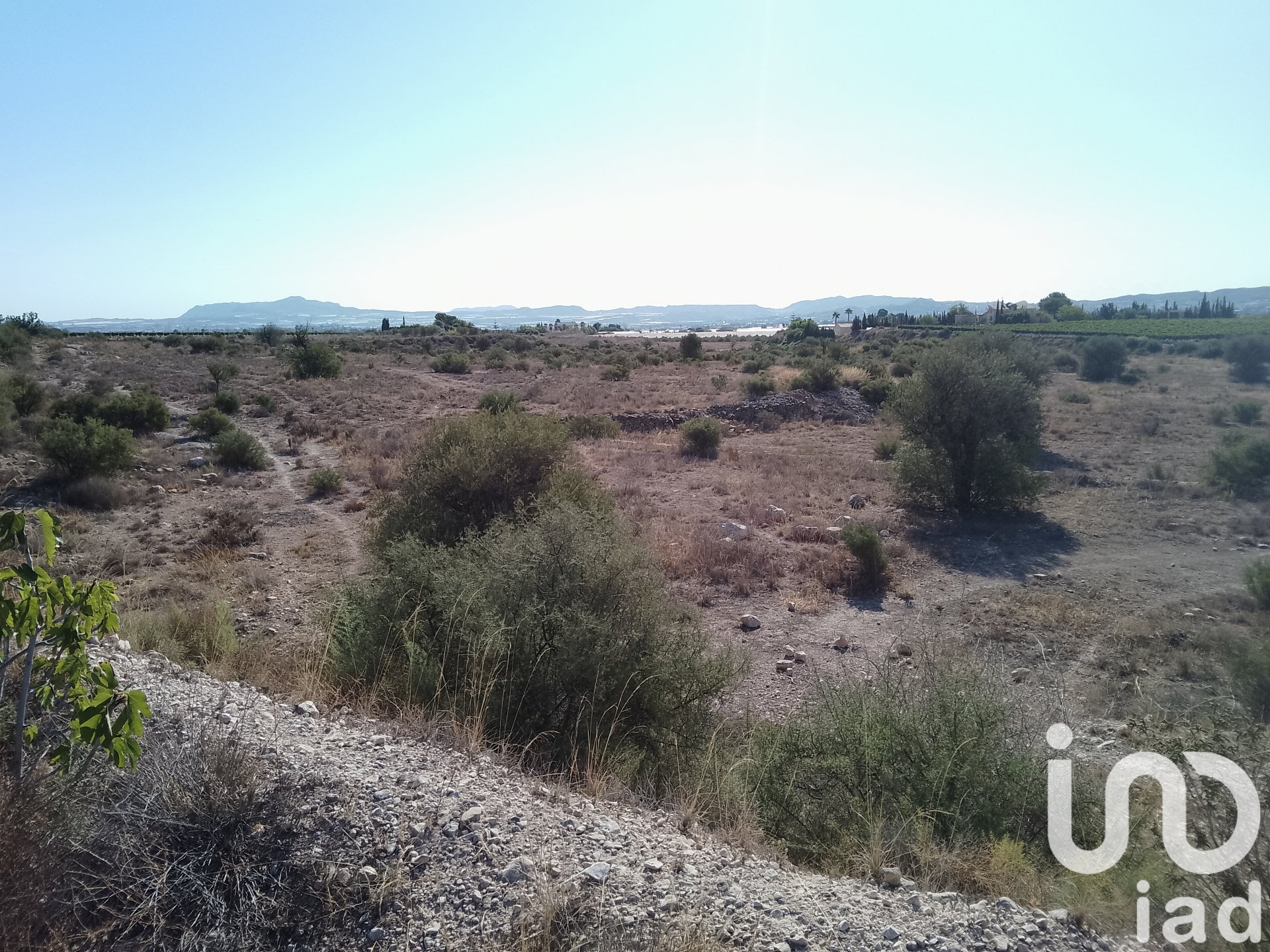Zemes gabals Novelda, Alicante, Spānijā 120000 m2 Nr. 153056
