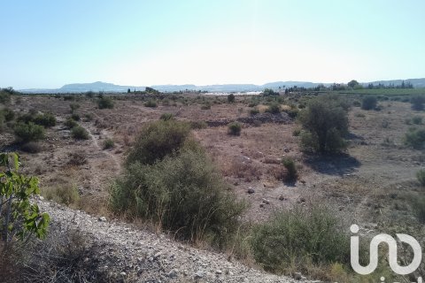 Terreno in vendita a Novelda, Alicante, Spagna 120000 mq. N° 153056 - foto 17