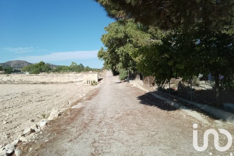 Terreno in vendita a Novelda, Alicante, Spagna 120000 mq. N° 153056 - foto 16