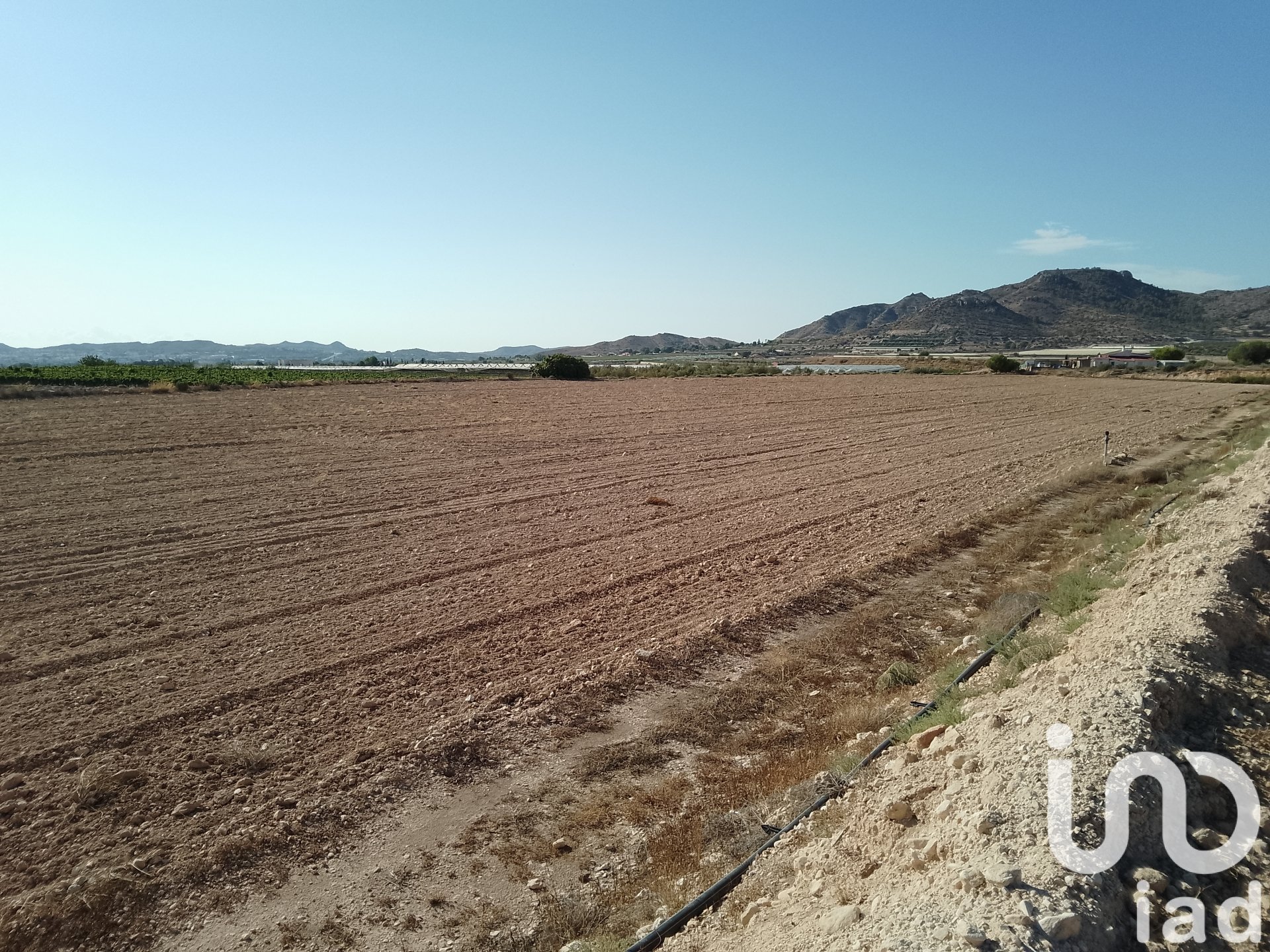 Zemes gabals Novelda, Alicante, Spānijā 120000 m2 Nr. 153056