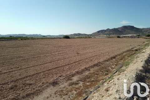 Terreno in vendita a Novelda, Alicante, Spagna 120000 mq. N° 153056 - foto 6