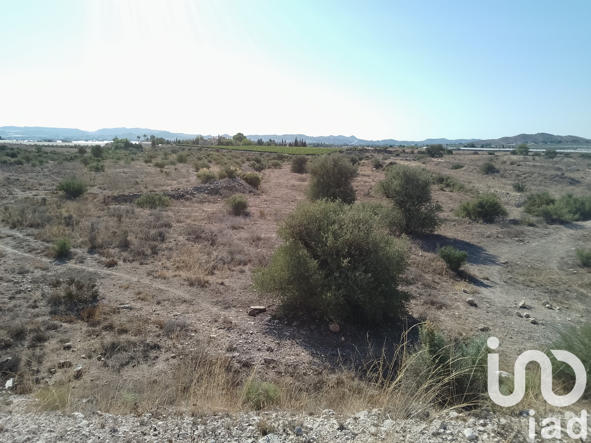Zemes gabals Novelda, Alicante, Spānijā 120000 m2 Nr. 153056