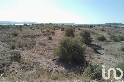 Terreno in vendita a Novelda, Alicante, Spagna 120000 mq. N° 153056 - foto 19