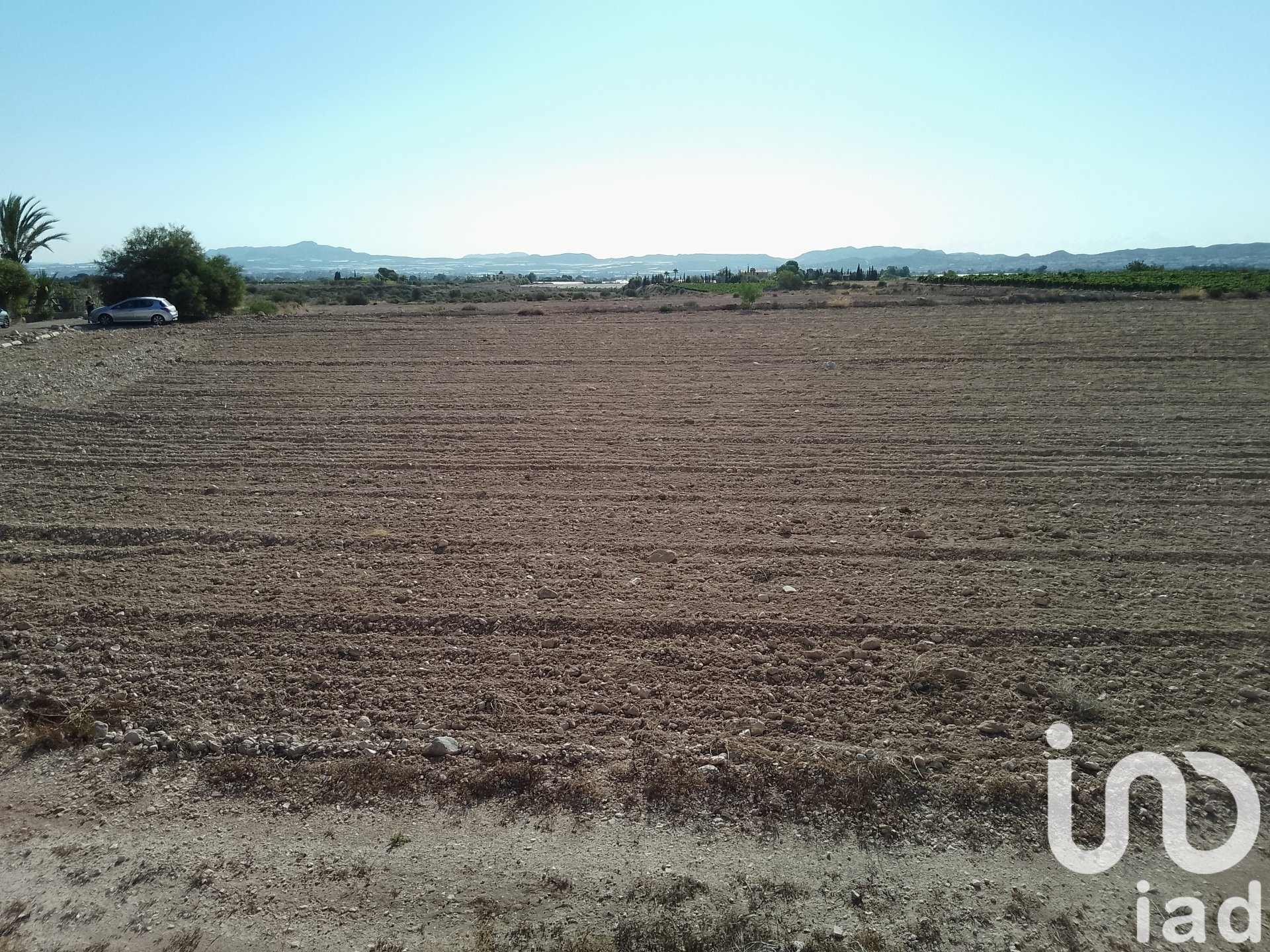 Zemes gabals Novelda, Alicante, Spānijā 120000 m2 Nr. 153056
