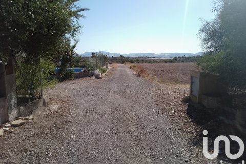 Terreno in vendita a Novelda, Alicante, Spagna 120000 mq. N° 153056 - foto 15