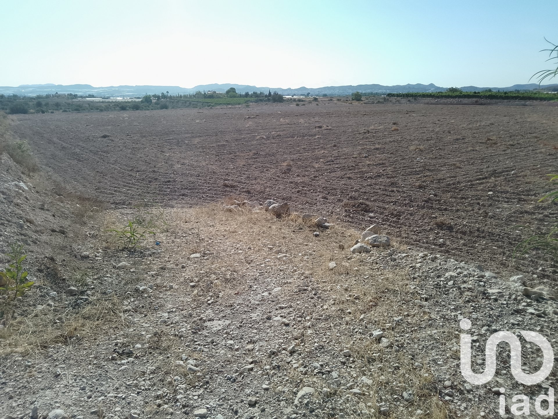 Zemes gabals Novelda, Alicante, Spānijā 120000 m2 Nr. 153056