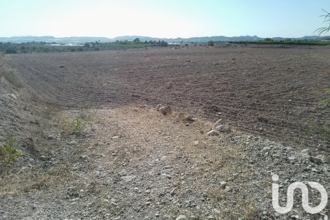 Terreno in vendita a Novelda, Alicante, Spagna 120000 mq. N° 153056 - foto 2