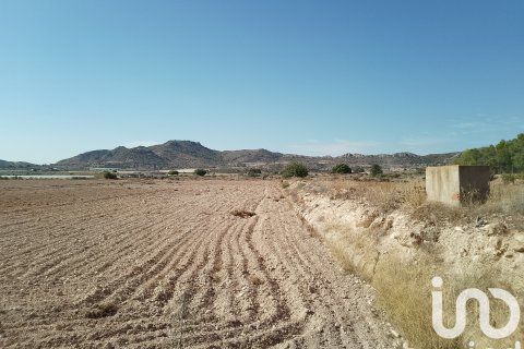 Terreno in vendita a Novelda, Alicante, Spagna 120000 mq. N° 153056 - foto 23