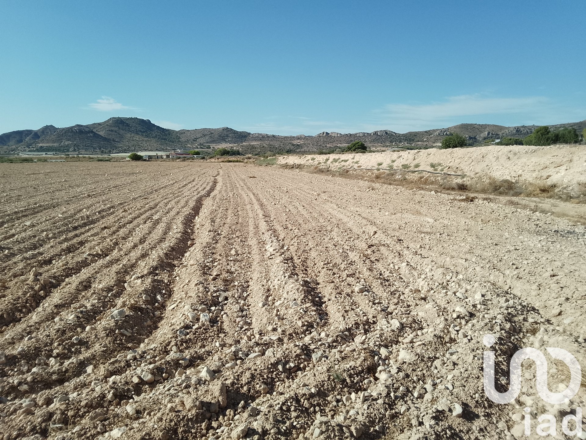 Zemes gabals Novelda, Alicante, Spānijā 120000 m2 Nr. 153056