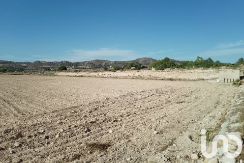 Terreno in vendita a Novelda, Alicante, Spagna 120000 mq. N° 153056 - foto 8