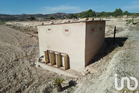 Terreno in vendita a Novelda, Alicante, Spagna 120000 mq. N° 153056 - foto 7