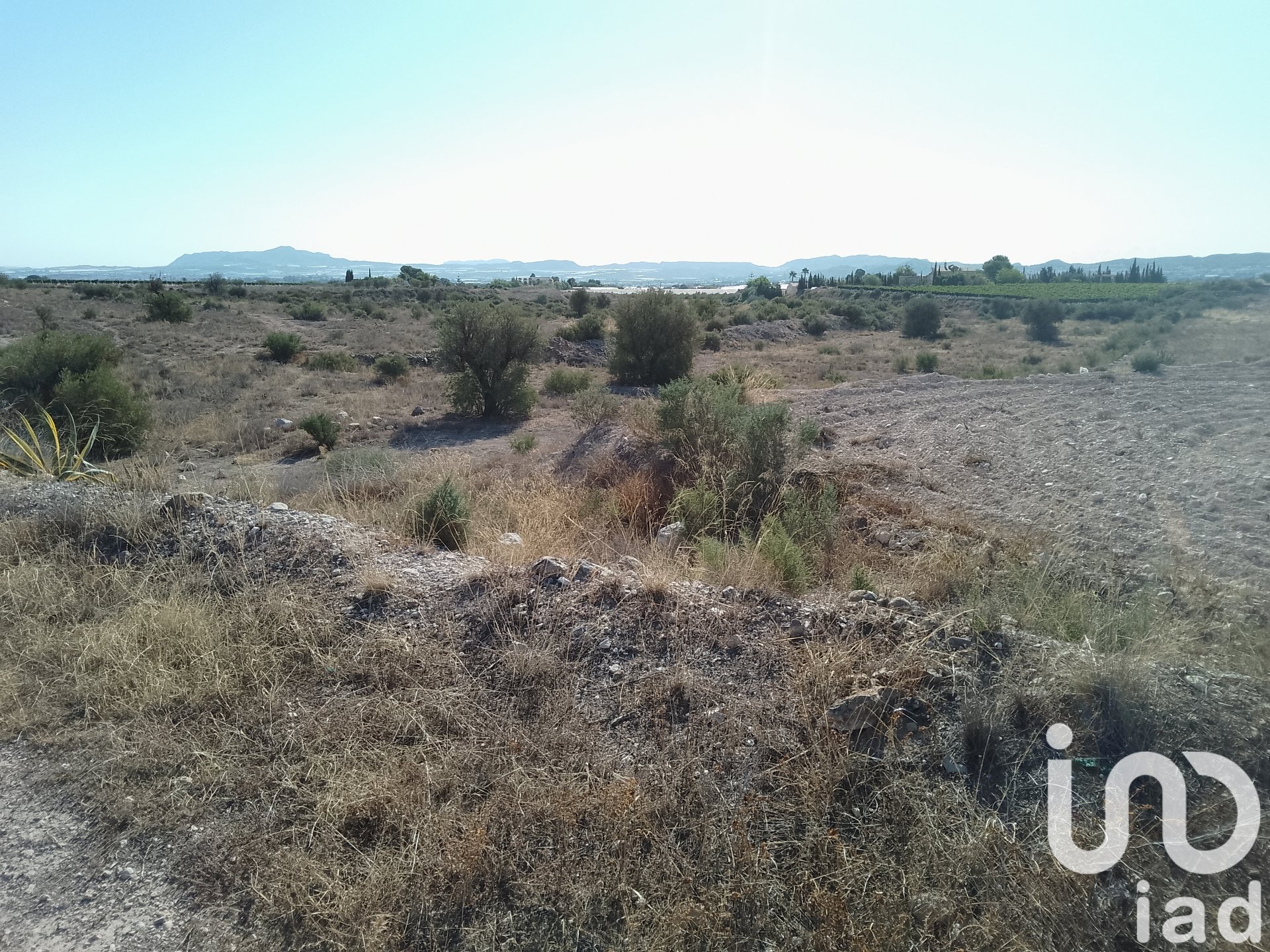 Zemes gabals Novelda, Alicante, Spānijā 120000 m2 Nr. 153056
