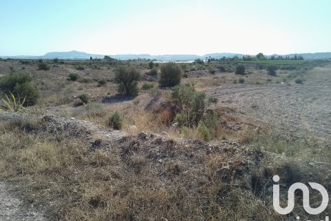 Terreno in vendita a Novelda, Alicante, Spagna 120000 mq. N° 153056 - foto 14