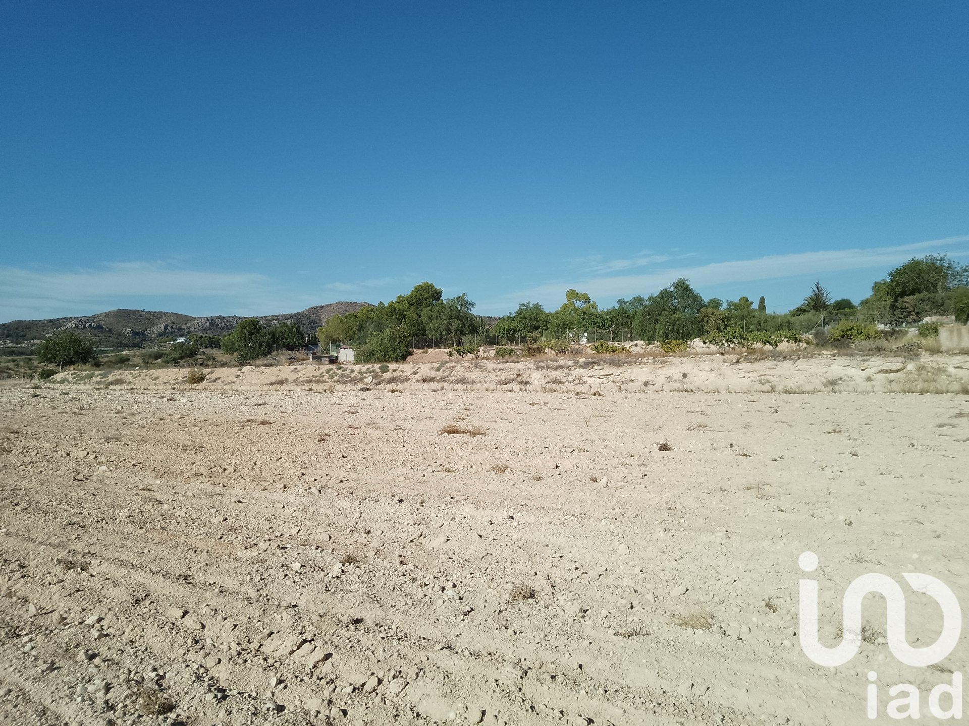 Zemes gabals Novelda, Alicante, Spānijā 120000 m2 Nr. 153056