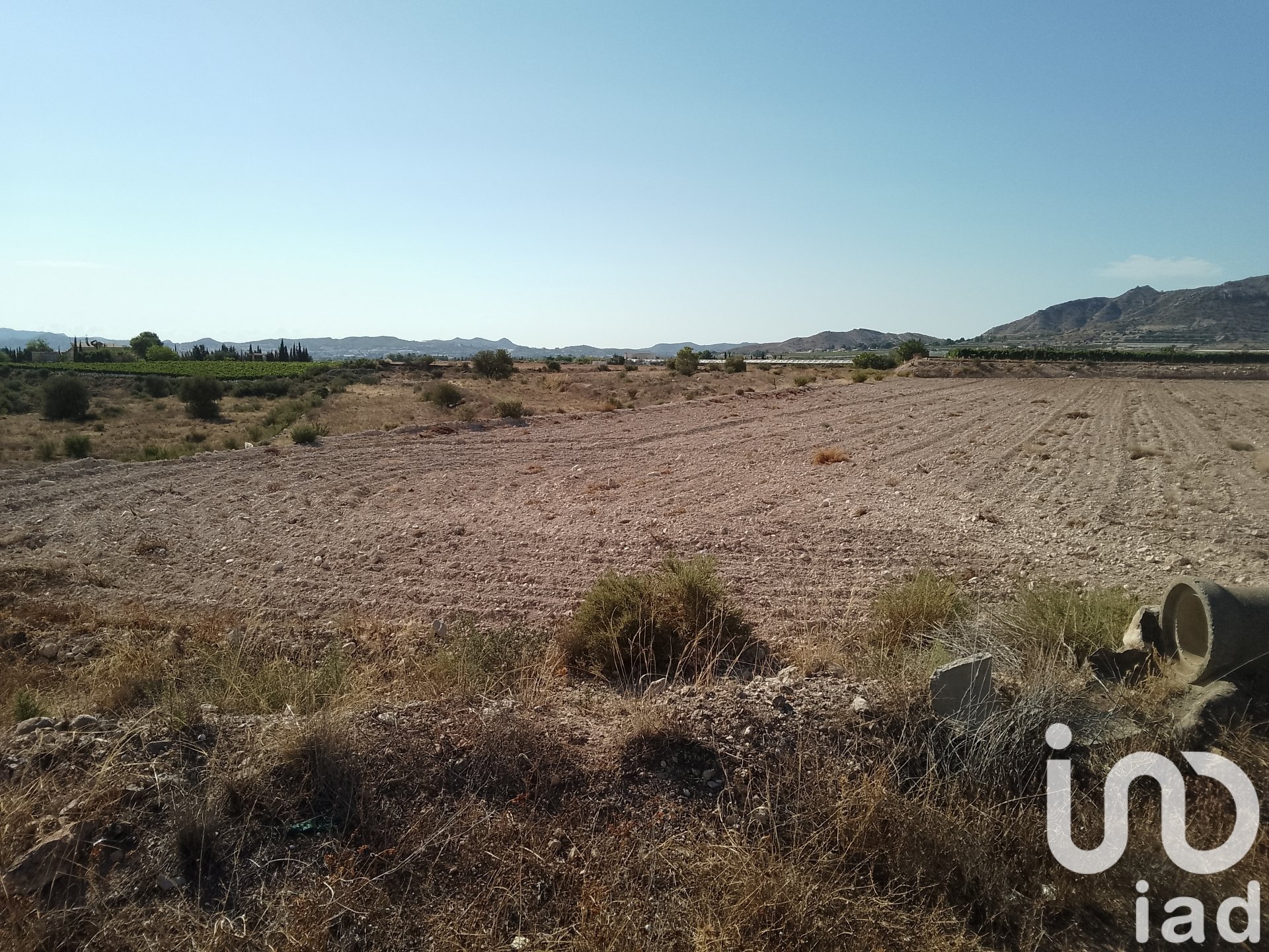 Zemes gabals Novelda, Alicante, Spānijā 120000 m2 Nr. 153056