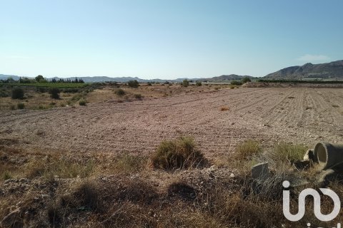 Terreno in vendita a Novelda, Alicante, Spagna 120000 mq. N° 153056 - foto 13