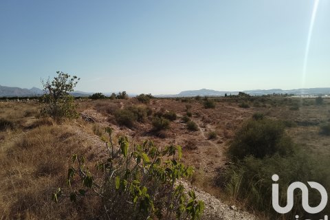 Terreno in vendita a Novelda, Alicante, Spagna 120000 mq. N° 153056 - foto 18