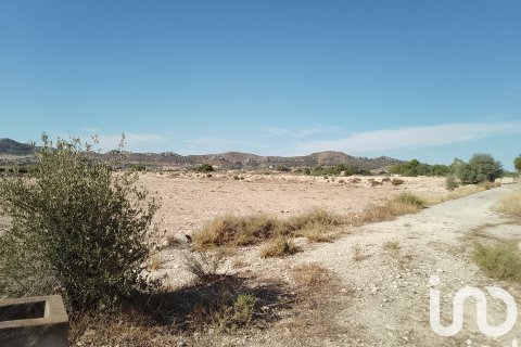 Terreno in vendita a Novelda, Alicante, Spagna 120000 mq. N° 153056 - foto 20