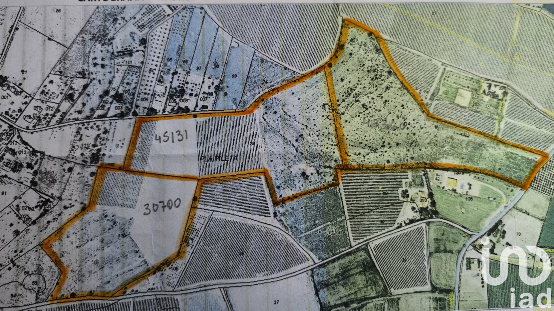 Zemes gabals Novelda, Alicante, Spānijā 120000 m2 Nr. 153056