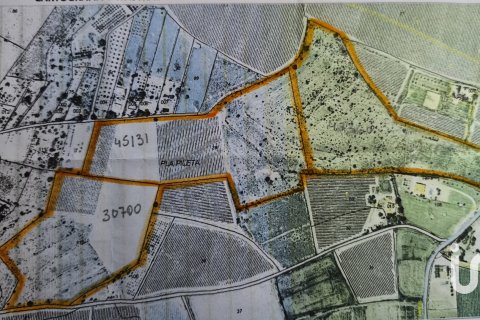 Terreno in vendita a Novelda, Alicante, Spagna 120000 mq. N° 153056 - foto 26