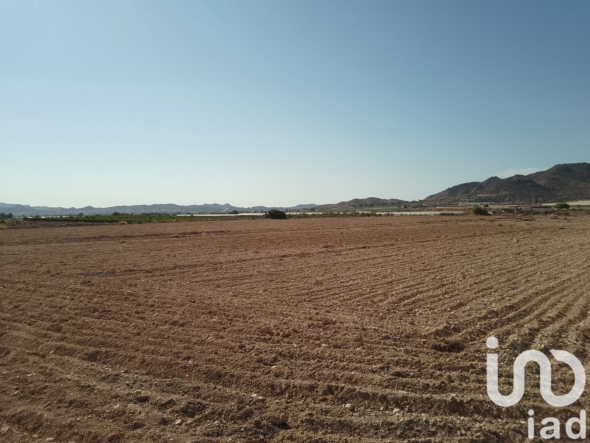Zemes gabals Novelda, Alicante, Spānijā 120000 m2 Nr. 153056