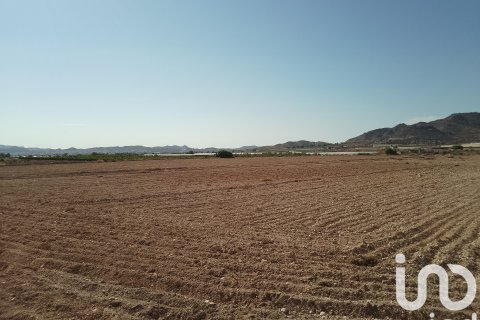 Terreno in vendita a Novelda, Alicante, Spagna 120000 mq. N° 153056 - foto 25