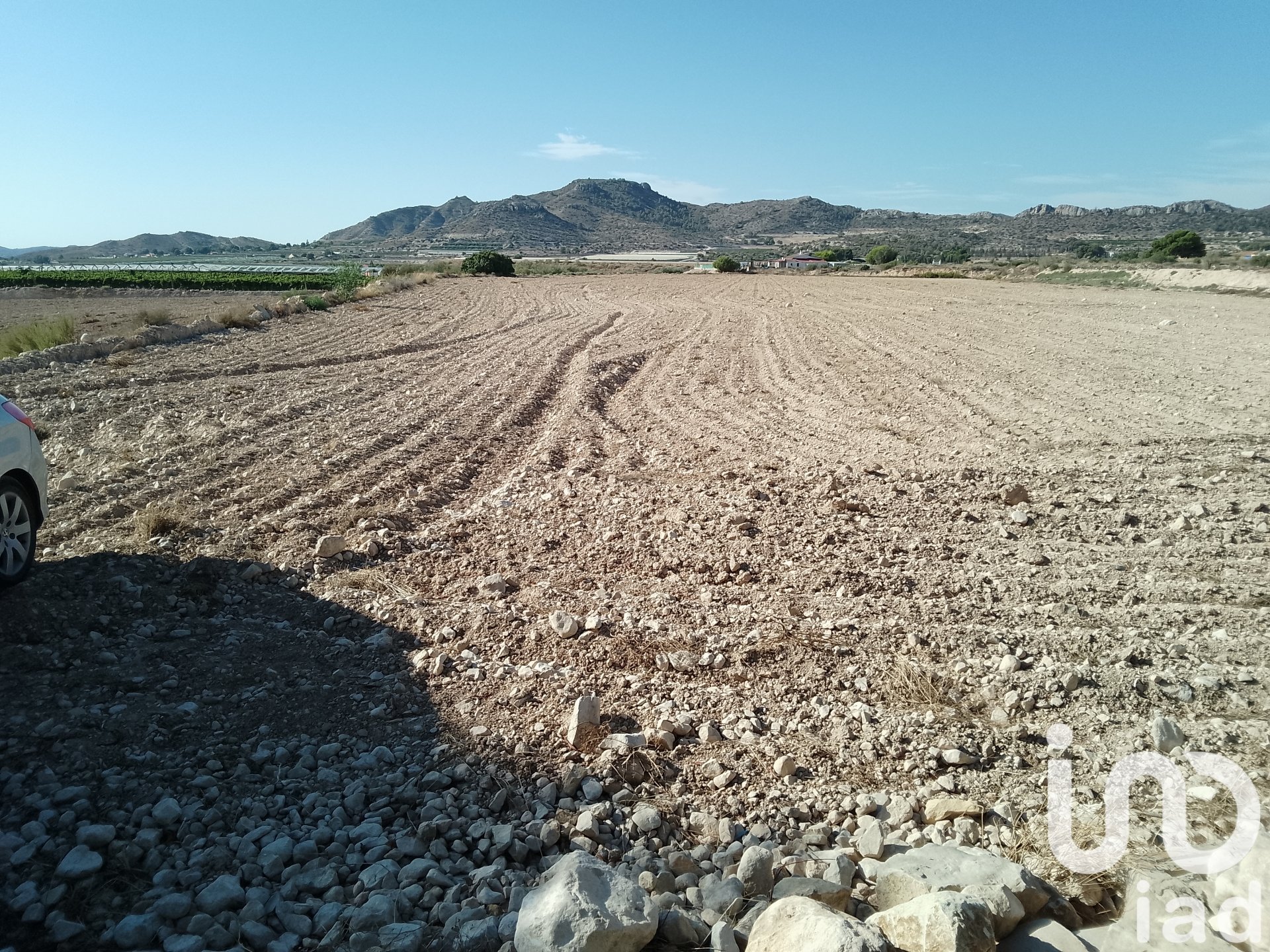 Zemes gabals Novelda, Alicante, Spānijā 120000 m2 Nr. 153056