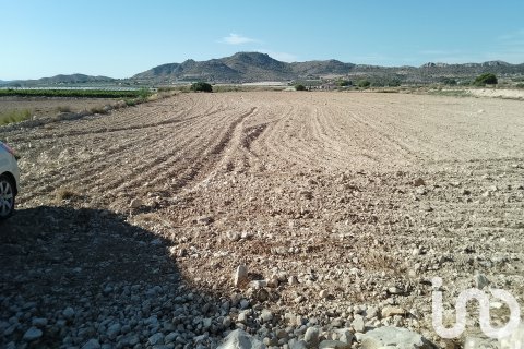 Terreno in vendita a Novelda, Alicante, Spagna 120000 mq. N° 153056 - foto 4