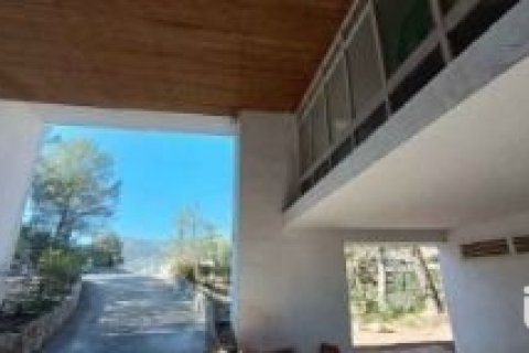 Продажа коммерческой недвижимости в Каньельес, Герона, Испания 8000м2 №154194 - фото 10