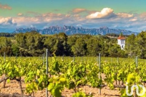 Продажа коммерческой недвижимости в Каньельес, Герона, Испания 8000м2 №154194 - фото 25