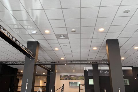 Komerciāls īpašums pārdošanā Torrevieja, Alicante, Spānijā 780 m2 Nr. 165742 - attēls 8