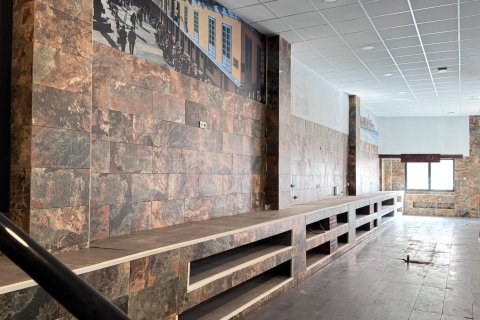 Komerciāls īpašums pārdošanā Torrevieja, Alicante, Spānijā 780 m2 Nr. 165742 - attēls 11