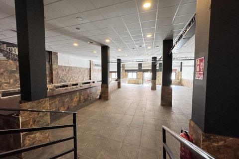 Komerciāls īpašums pārdošanā Torrevieja, Alicante, Spānijā 780 m2 Nr. 165742 - attēls 13