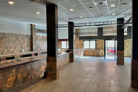 Komerciāls īpašums pārdošanā Torrevieja, Alicante, Spānijā 780 m2 Nr. 165742 - attēls 14