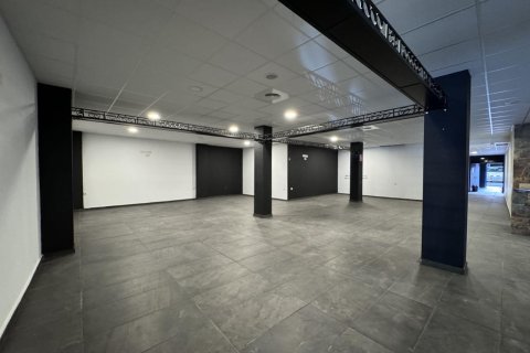 Komerciāls īpašums pārdošanā Torrevieja, Alicante, Spānijā 780 m2 Nr. 165742 - attēls 27