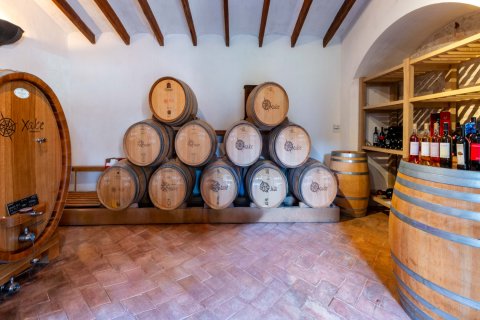 Finca zum Verkauf in Pollenca, Mallorca, Spanien 6 Schlafzimmer, 1307 m2 Nr. 147005 - Foto 11