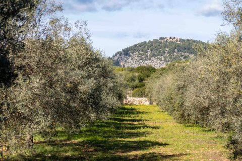 Finca zum Verkauf in Pollenca, Mallorca, Spanien 6 Schlafzimmer, 1307 m2 Nr. 147005 - Foto 17