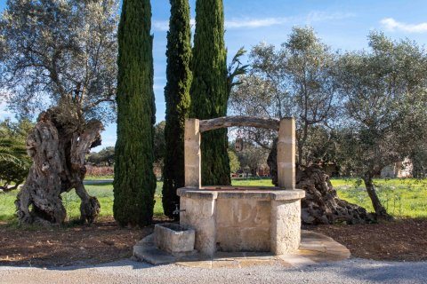 Finca zum Verkauf in Pollenca, Mallorca, Spanien 6 Schlafzimmer, 1307 m2 Nr. 147005 - Foto 19
