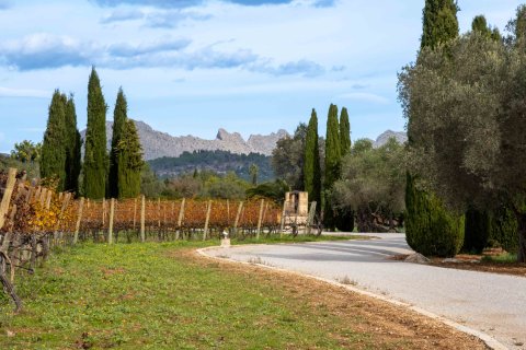 Finca zum Verkauf in Pollenca, Mallorca, Spanien 6 Schlafzimmer, 1307 m2 Nr. 147005 - Foto 12