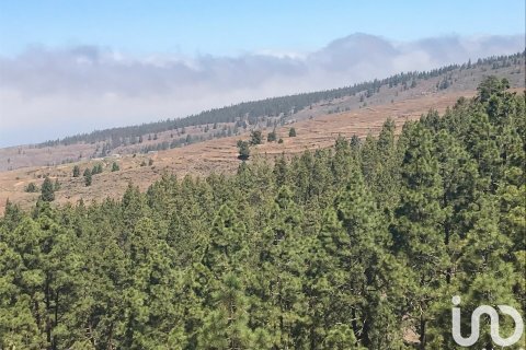 Terreno in vendita a Tijoco Alto, Tenerife, Spagna 53151 mq. N° 154189 - foto 3