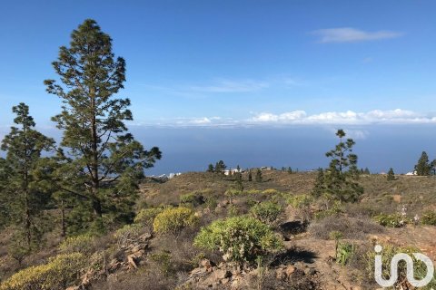 Terreno in vendita a Tijoco Alto, Tenerife, Spagna 53151 mq. N° 154189 - foto 2