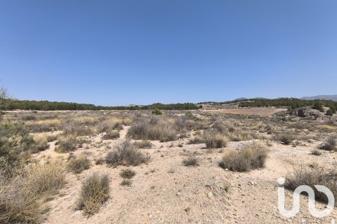 Zemes gabals pārdošanā Sax, Alicante, Spānijā 75648 m2 Nr. 153208 - attēls 3