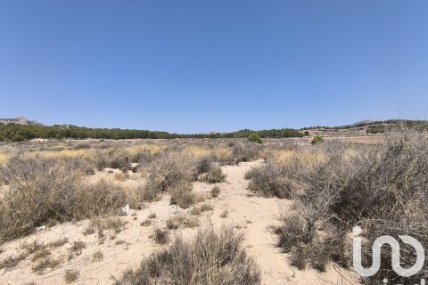 Zemes gabals pārdošanā Sax, Alicante, Spānijā 75648 m2 Nr. 153208 - attēls 14